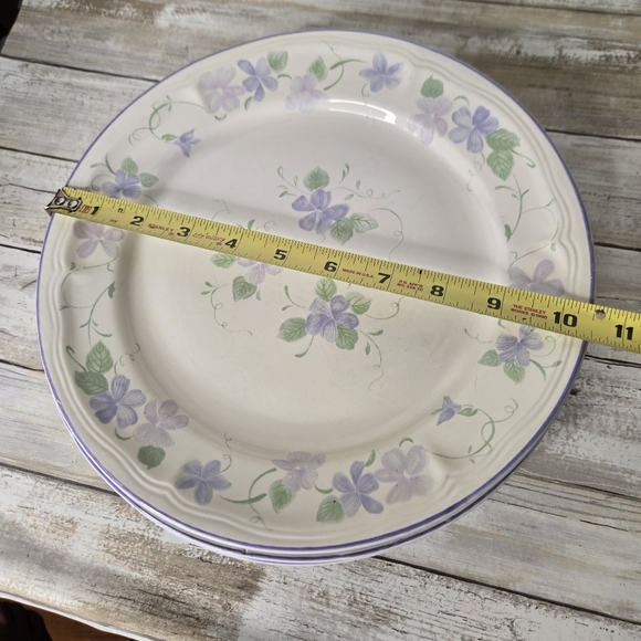 Set Of 4 Newcor Stoneware Dinner Plates - Picture 4 of 4